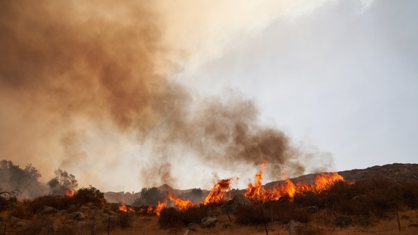 muertos altas temperaturas calor eeuu