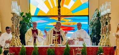 cardenal emerito oscar rodriguez