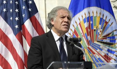 oea investigara a luis almagro