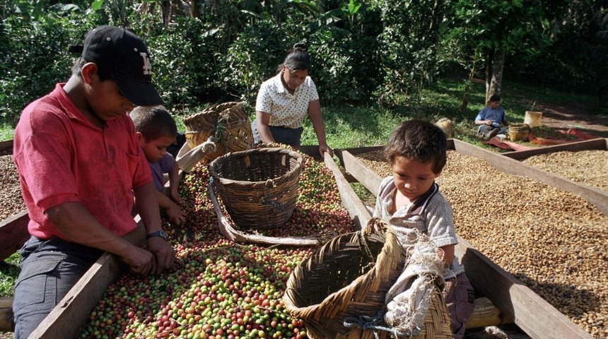 productos de nicaragua con destino a estados uniods