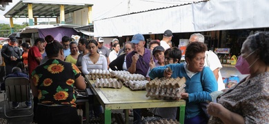 honduras reduccion trabajos informales