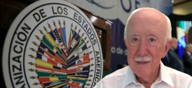 guillermo belt exasesor en oea