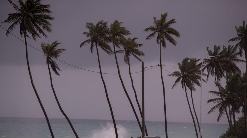 depresion tropical caribe central