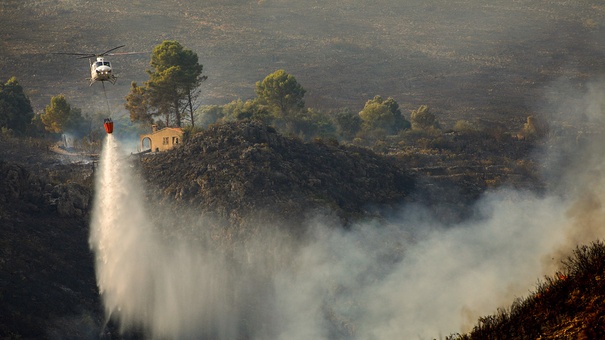 incendio forestales