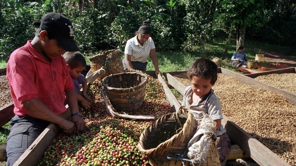 productos de nicaragua con destino a estados uniods