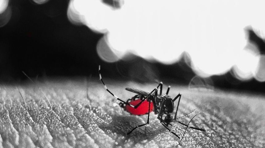 dengue en nicaragua