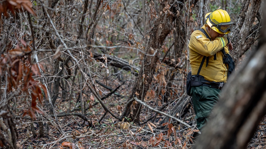 perdidas incendios forestales guatemala