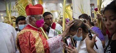 cardenal Leopoldo Brenes