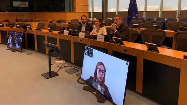 alexa zamora sesión especial parlamento europeo nicaragua