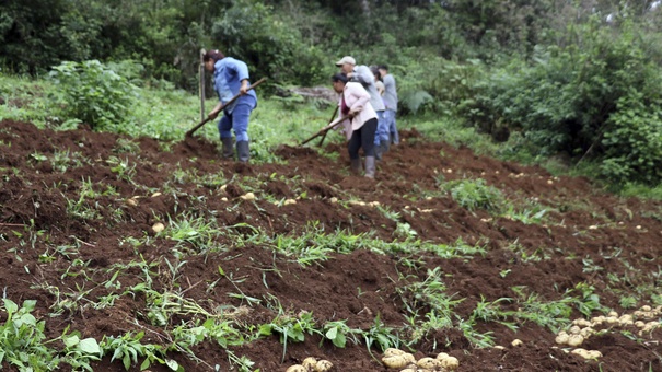 crecimiento económico honduras