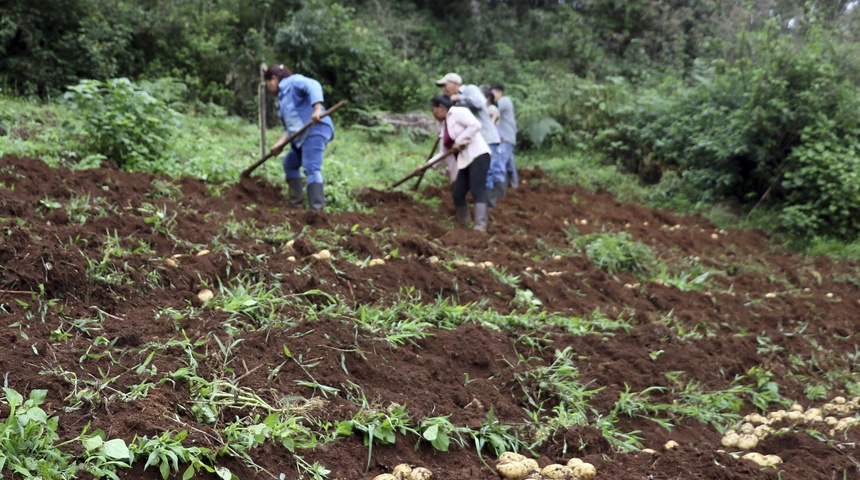 crecimiento económico honduras