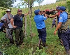 fuertes corrientes arrastran menores chontales