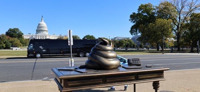 figura escritorio excremento national mall capitolio eeuu