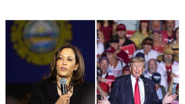 kamala junto trump