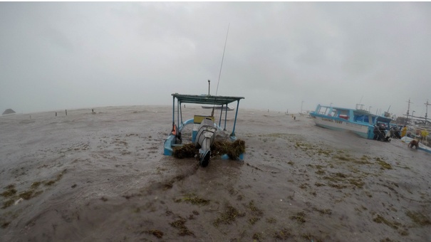 Tormenta tropical bonnie