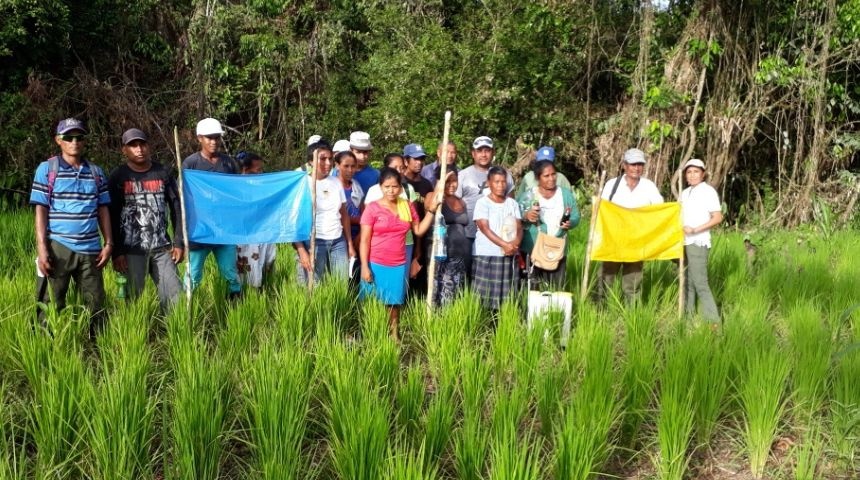 comunitarios mayangnas denuncian genocidio en sus territorios por regimen ortega