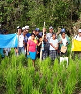 comunitarios mayangnas denuncian genocidio en sus territorios por regimen ortega