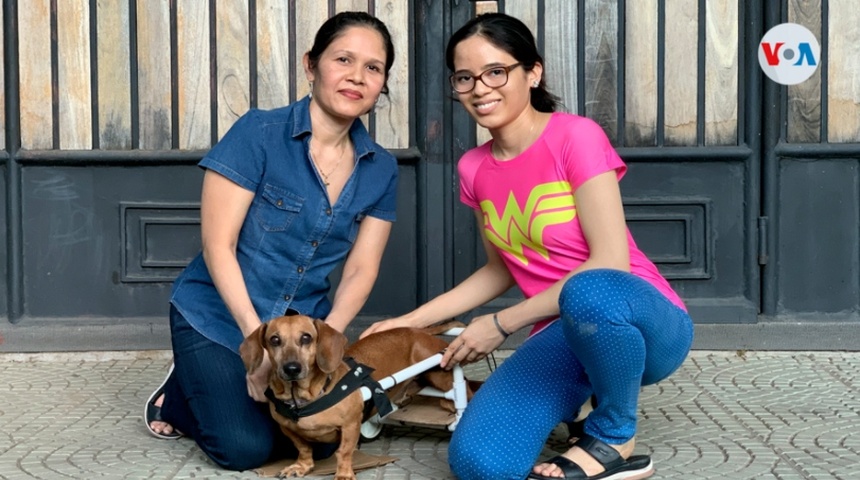 Veterinario nicaragüense devuelve esperanza a mascotas con discapacidad