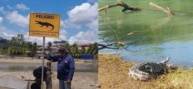 presencia de cocodrilos en nicaragua