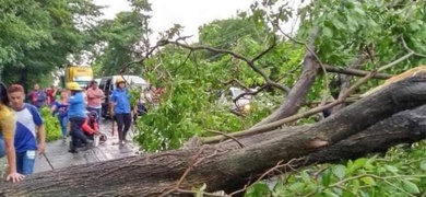 arboles caidos lluvia nicaragua el cua jinotega