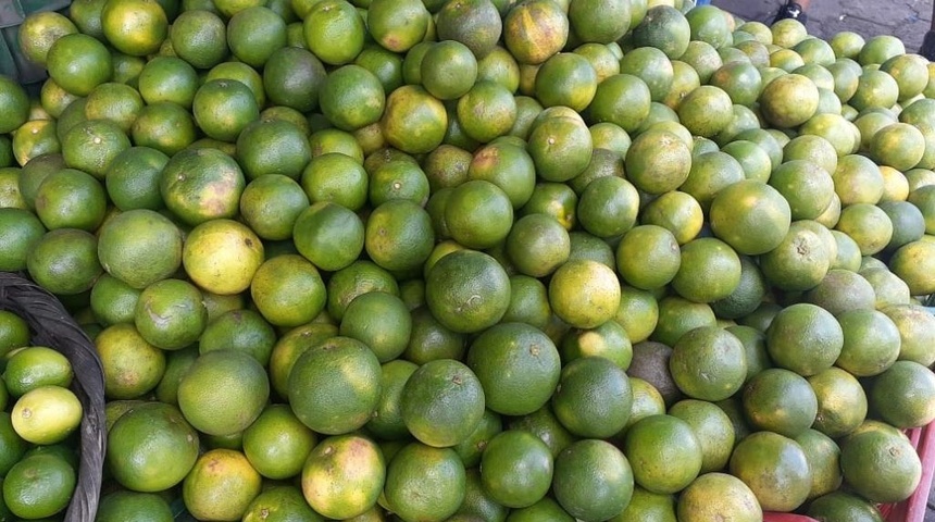 Limón dulce escaso y mandarinas sin demanda, previo a La Purísima en mercados de Managua