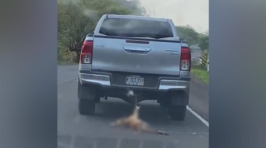 Conductor amarra a camioneta y arrastra a perro en carretera