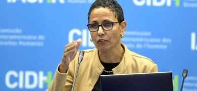 presidenta cidh roberta clark