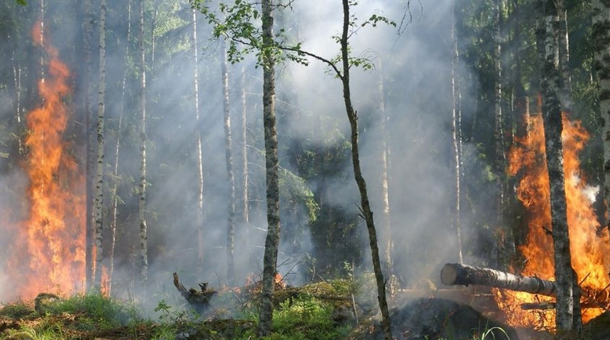 Fundación del Río reporta un aumento de incendios forestales a nivel nacional