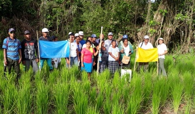 comunitarios mayangnas denuncian genocidio en sus territorios por regimen ortega