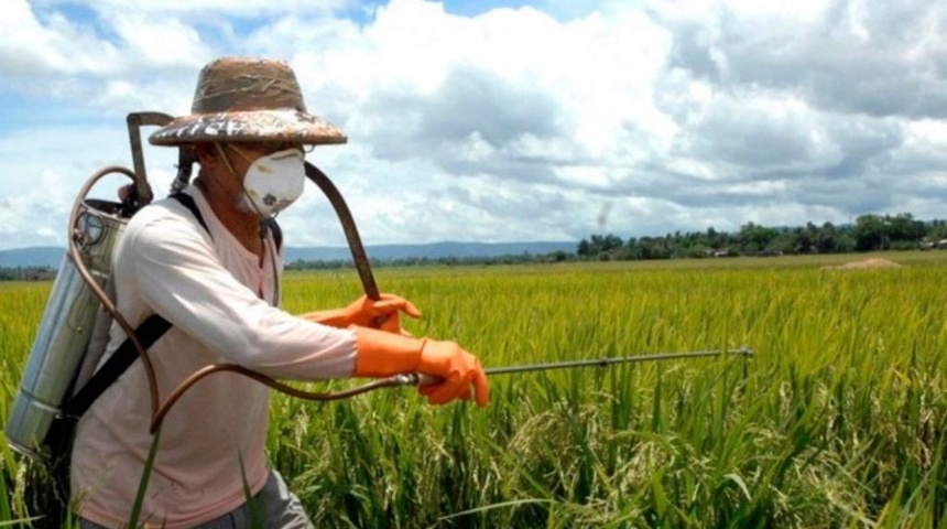 Incremento en los precios de insumos y agroquímicos son resultados de intervención rusa en Ucrania