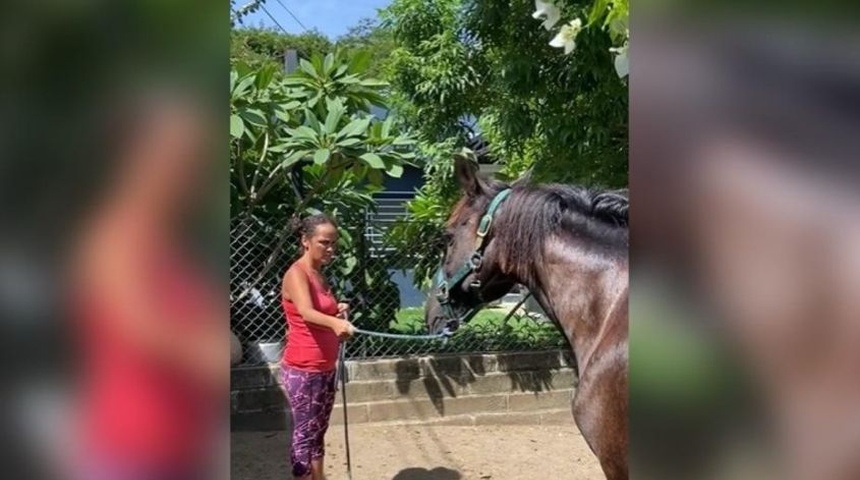 Yasenia Pérez: una cubana que rescata caballos abandonados en Nicaragua