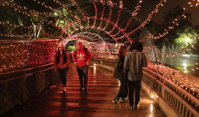 ambiente navideño honduras