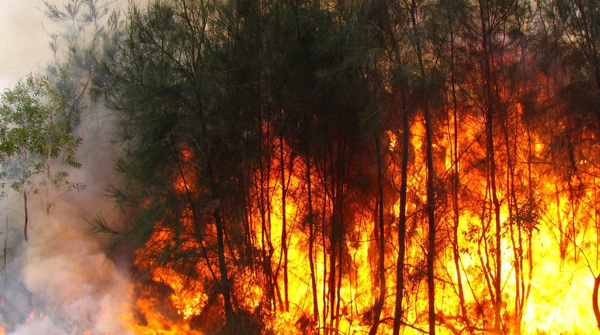 Reportan aumento en incendios forestales, “Nicaragua Arde” alerta informe de ambientalistas