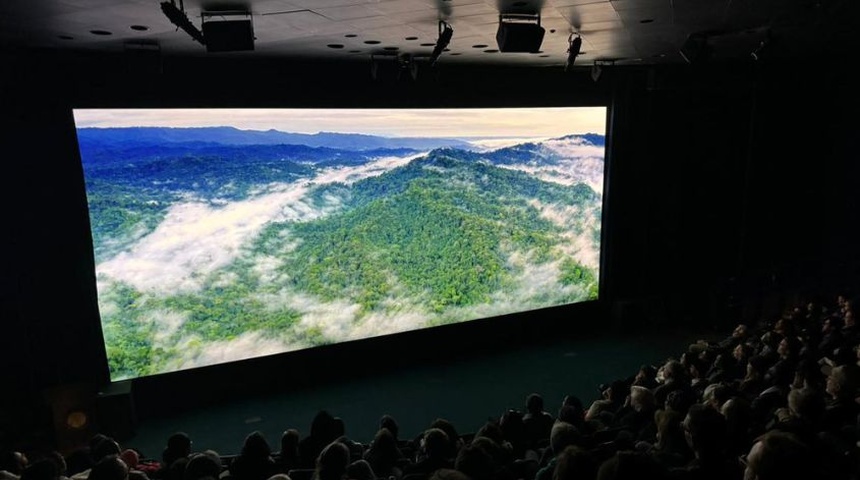 Documental Patrullaje que evidencia la invasión ganadera en Reserva Indio Maíz será proyectado en cine Magaly en Costa Rica