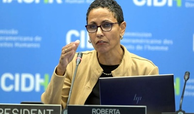 presidenta cidh roberta clark