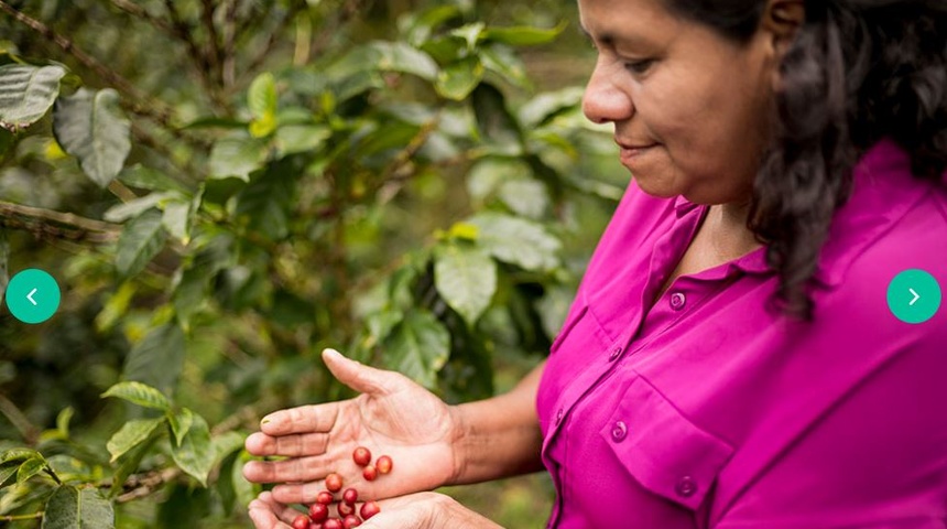 We Effect cierra sus operaciones en Nicaragua por ley de Agentes Extranjeros