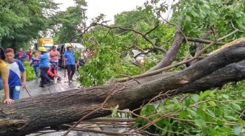 Lluvias provocan caída de árboles y dejan calles inundadas en Nicaragua