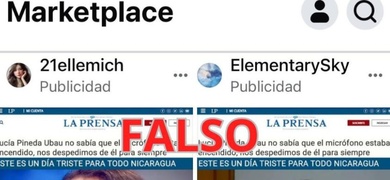 lucia pineda ubau publicidad engañosa noticias falsas