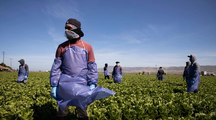 Emigrar para vivir: en búsqueda de las Visas Agrícolas para Estados Unidos