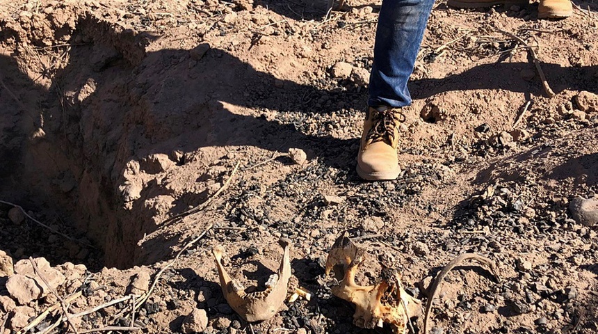 Descubren fosas clandestinas con 11 cadáveres en oeste mexicano