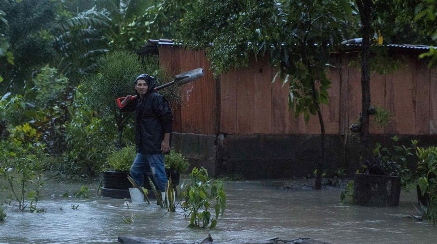 Huracanes Eta e Iota agravaron la condición de los animales de patio en Nicaragua