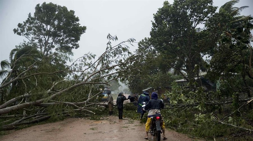 Madera tumbada por huracanes Iota y Eta en Nicaragua: ¿para afectados o explotadores?