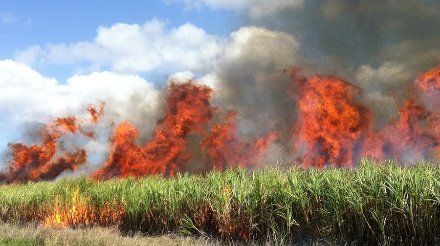 Encapuchados impidieron entrada de bomberos en tierras quemadas del Grupo Coen