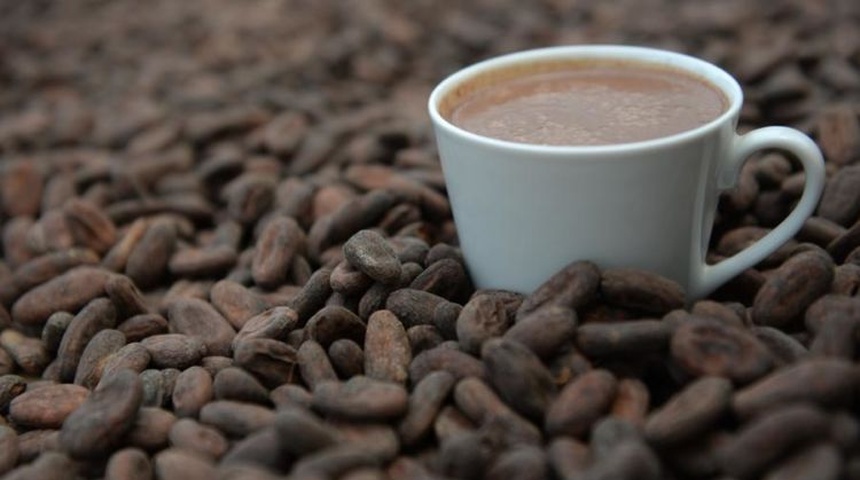 Holanda destaca el aumento de la producción de café y cacao en Nicaragua