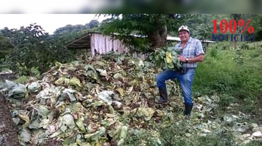 Horticultores cierran este año con grandes pérdidas en la siembra de perecederos