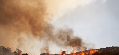 muertos altas temperaturas calor eeuu