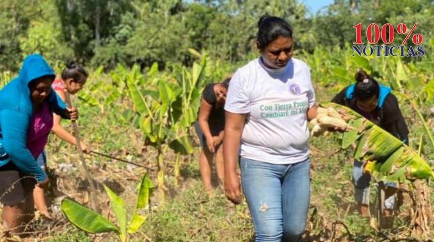 Mujeres nicaragüenses transforman sus vidas cultivando la tierra