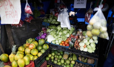 fao sobre alimentacion centroamerica