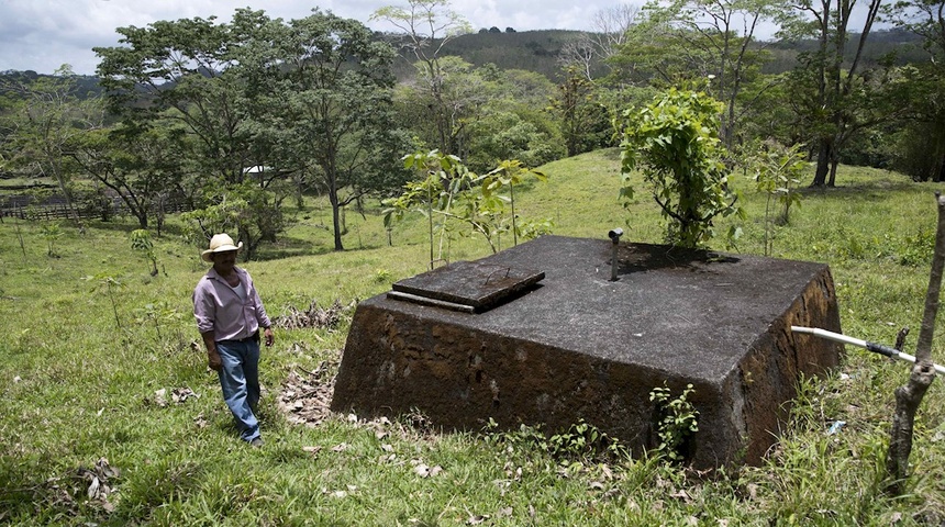 La reforestación, negocio que une al humano con la madre tierra en Nicaragua