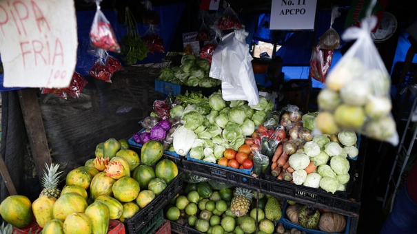 fao sobre alimentacion centroamerica